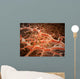 Microscopic Athlete's Foot Fungus Wall Decal