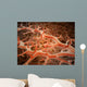 Microscopic Athlete's Foot Fungus Wall Decal