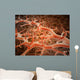 Microscopic Athlete's Foot Fungus Wall Decal