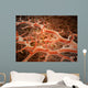 Microscopic Athlete's Foot Fungus Wall Decal