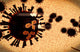 Black Swarm H5n1 Avian Wall Decal