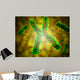Conceptual Image Telomere Wall Decal