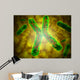 Conceptual Image Telomere Wall Decal
