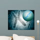 Conceptual Image Telomere Showing Wall Decal