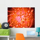 Microscopic Anthrax Wall Decal Design 1