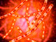 Microscopic Anthrax Wall Decal Design 1