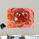 Microscopic Blood Flow inside Wall Decal