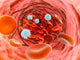 Microscopic Blood Flow inside Wall Decal