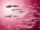 Microscopic Sperm Traveling towards Wall Decal