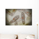 Microscopic Paramecium Wall Decal Design 3