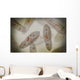 Microscopic Paramecium Wall Decal Design 3