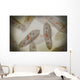 Microscopic Paramecium Wall Decal Design 3