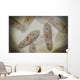 Microscopic Paramecium Wall Decal Design 3