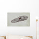 Microscopic Paramecium Wall Decal Design 2