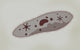 Microscopic Paramecium Wall Decal Design 2