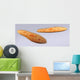 Microscopic Paramecium Wall Decal Design 1