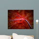 Microscopic Medicine Being Injected Wall Decal