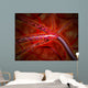 Microscopic Medicine Being Injected Wall Decal