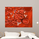 Conceptual Image Chromosomes inside Wall Decal