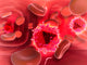 Microscopic HIV Virus inside Wall Decal