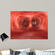Microscopic inside Human Lungs Wall Decal