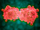 Microscopic Leukemia Cell Wall Decal