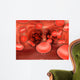 Microscopic Red Blood Cells Wall Decal