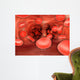 Microscopic Red Blood Cells Wall Decal