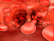 Microscopic Red Blood Cells Wall Decal