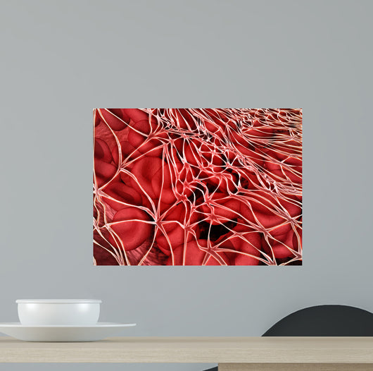 Conceptual Image Red Blood Wall Decal Design 2