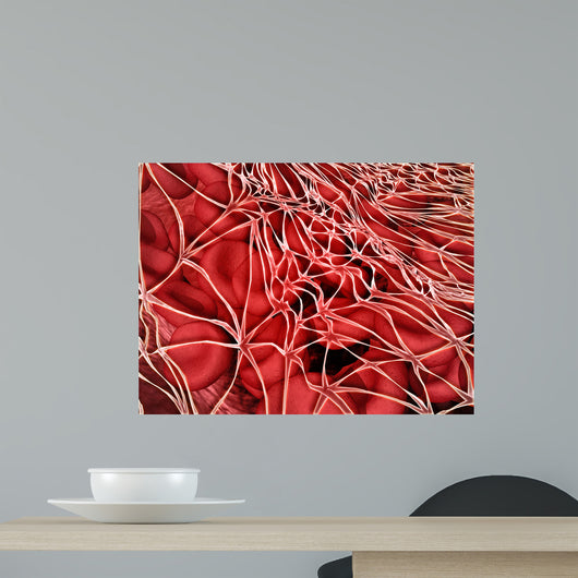 Conceptual Image Red Blood Wall Decal Design 2