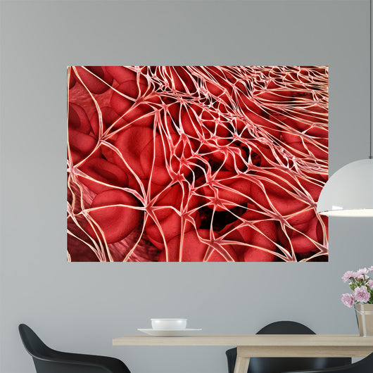 Conceptual Image Red Blood Wall Decal Design 2