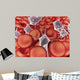 Conceptual Image Red Blood Wall Decal Design 1