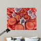 Conceptual Image Red Blood Wall Decal Design 1