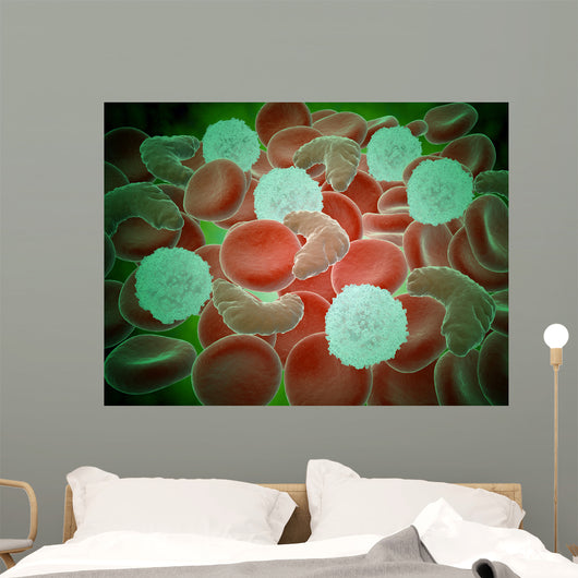 Sickle Cell Anemia with Wall Decal