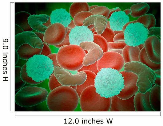 Sickle Cell Anemia with Wall Decal