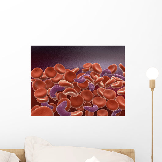 Conceptual Image Sickle Cell Wall Decal Design 1