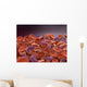 Conceptual Image Sickle Cell Wall Decal Design 1