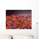 Conceptual Image Sickle Cell Wall Decal Design 1