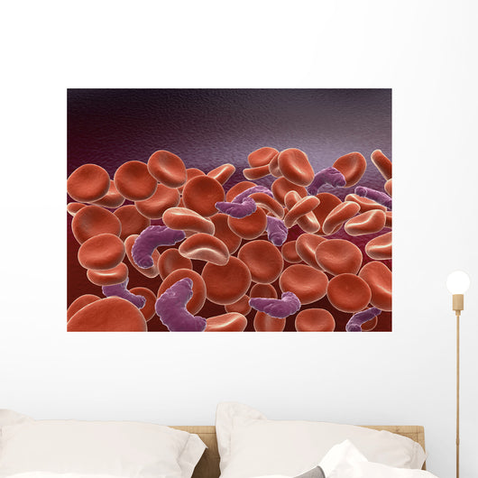 Conceptual Image Sickle Cell Wall Decal Design 1