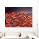 Conceptual Image Sickle Cell Wall Decal Design 1