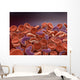 Conceptual Image Sickle Cell Wall Decal Design 1