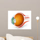 Anatomy Human Eye Perspective Wall Decal