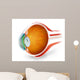 Anatomy Human Eye Perspective Wall Decal