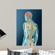 Medical Illustration Human Brain Wall Decal