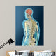 Medical Illustration Human Brain Wall Decal