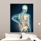 Medical Illustration Showing Inflammation Wall Decal Design 2