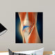 Medical Illustration Showing Inflammation Wall Decal Design 1