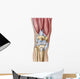 Anatomy Human Knee Joint Wall Decal Design 2