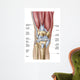 Anatomy Human Knee Joint Wall Decal Design 1
